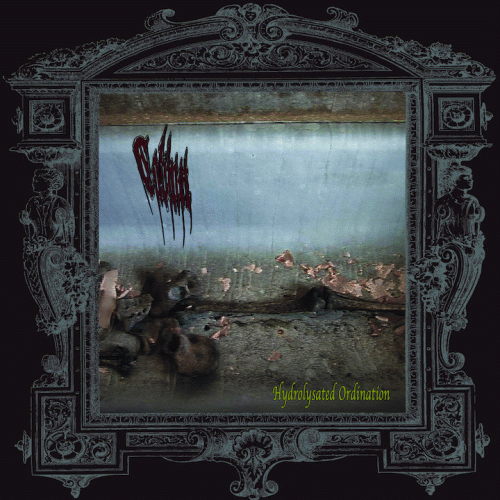 Cabinet : Hydrolysated Ordination